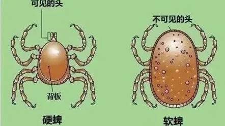 说明: c0a43dfa5ee5f3aa4414e0ab724232fd