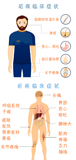说明: IMG_264