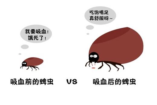 说明: IMG_256