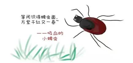 IMG_259